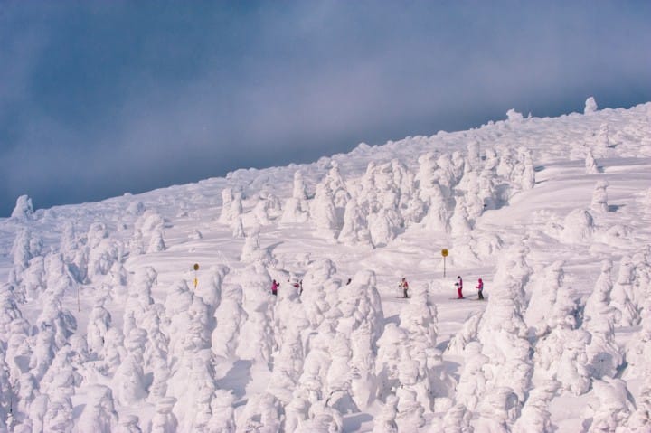 【東北山形】滑雪、溫泉、樹冰一次滿足!山形藏王溫泉