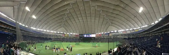 走！一起去東京巨蛋看陽岱鋼！