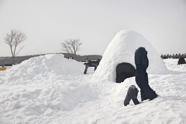 【北海道 惠庭】雪國美食與玩樂體驗全都包！必嚐在雪屋中品嚐暖呼呼成吉思汗鍋。
