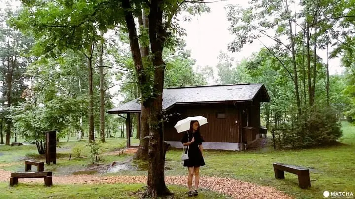 『北海道 美瑛』簡直就像是來到義大利！不預約吃不到～iL coVo手工桿麵皮的窯烤披薩