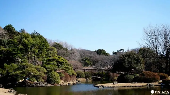走！一起去東京巨蛋看陽岱鋼！