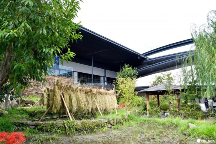 Kyoto Aquarium, Tempat Wisata Penuh Daya Tarik di Kyoto!