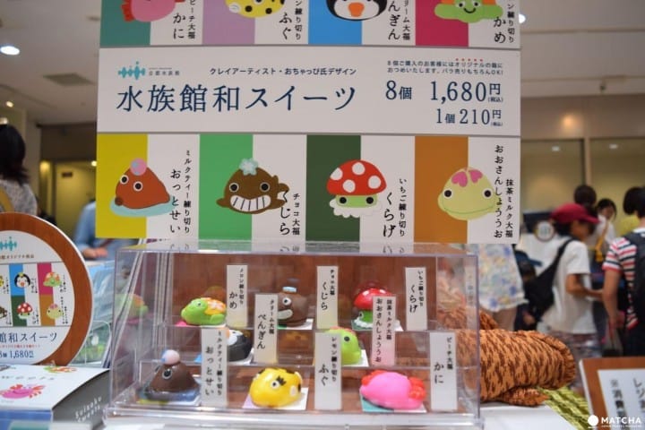 Kyoto Aquarium, Tempat Wisata Penuh Daya Tarik di Kyoto!