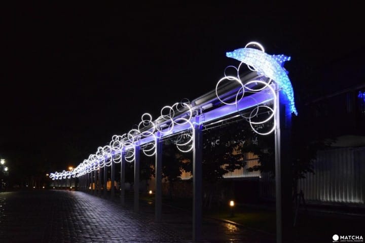 Kyoto Aquarium, Tempat Wisata Penuh Daya Tarik di Kyoto!