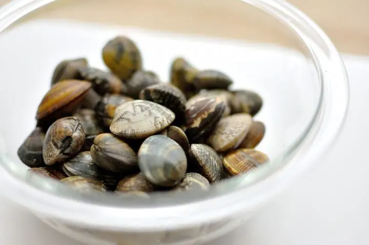 A Taste of Japan - Tsukudani