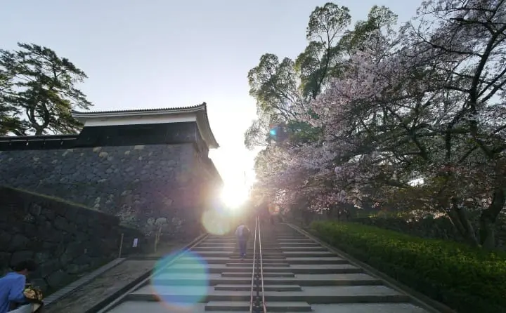 【日本中國】島根、鳥取、岡山、廣島、山口　賞櫻五大名所