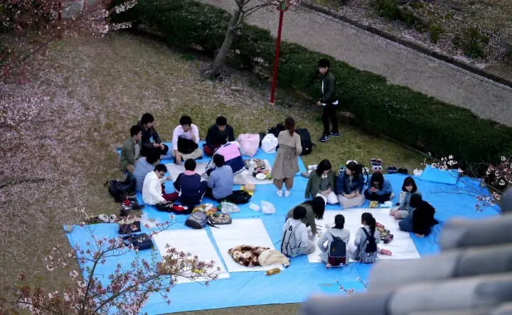 【日本中國】島根、鳥取、岡山、廣島、山口　賞櫻五大名所