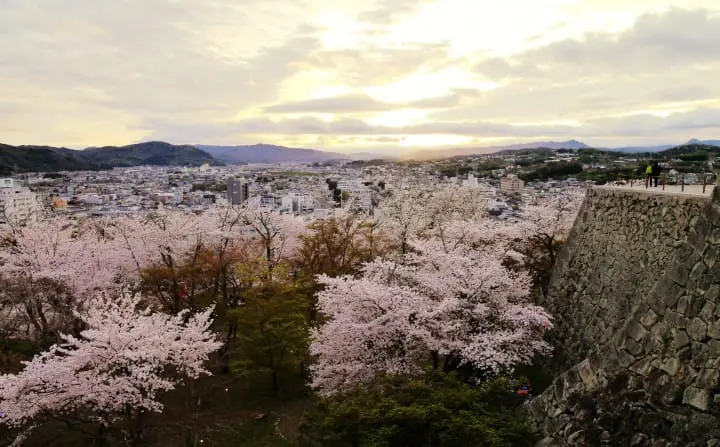 【日本中國】島根、鳥取、岡山、廣島、山口　賞櫻五大名所