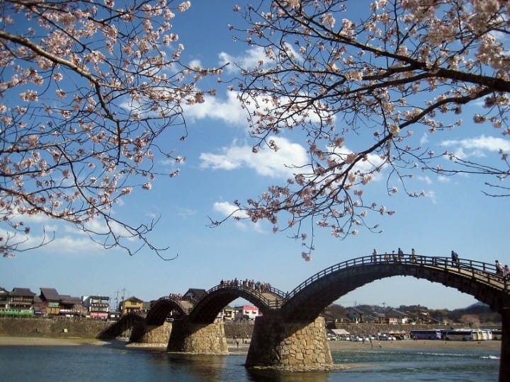 【日本中國】島根、鳥取、岡山、廣島、山口 賞櫻五大名所