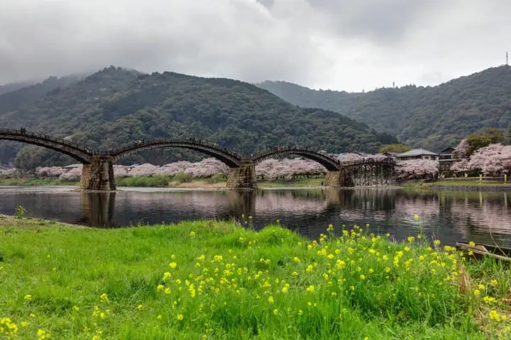【日本中國】島根、鳥取、岡山、廣島、山口　賞櫻五大名所