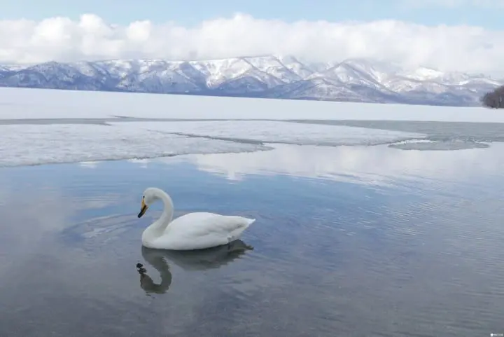 『北海道 道东』北国壮游必到之处！搜集道东三湖美景