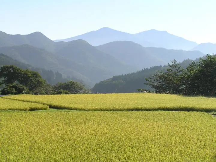 Stay at affordable lodging with hot springs near major tourist spots. Get an international driver’s license and see untraveled byways and old Japan 