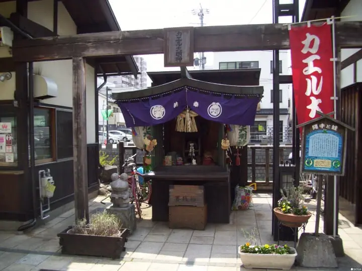 【長野賞櫻】國寶松本城賞櫻漫步城下町