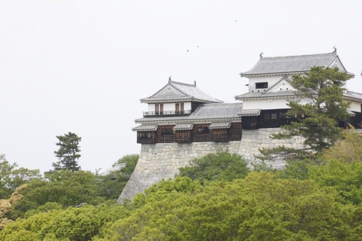 松山城の全景 2