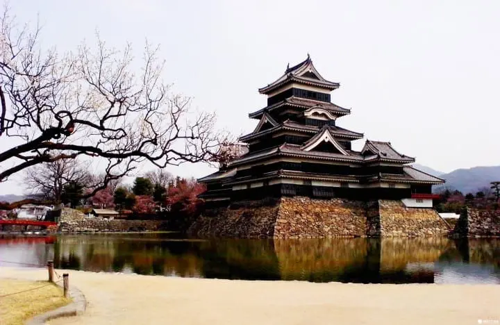 【长野】国宝松本城赏樱漫步城下町