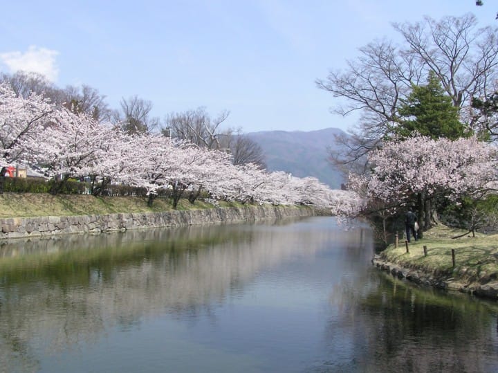 【長野】國寶松本城賞櫻漫步城下町