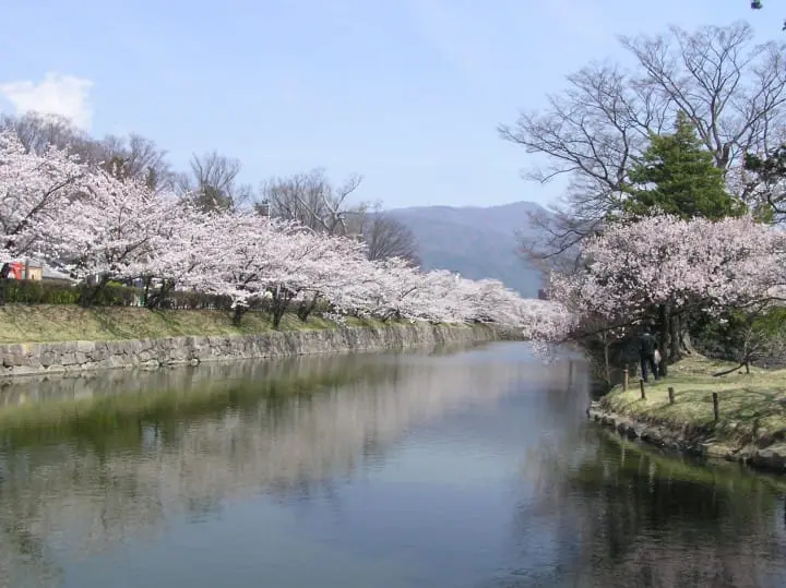 【長野】國寶松本城賞櫻漫步城下町