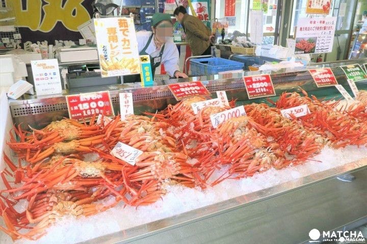 5 Cara Menikmati Kota Niigata: dari Wisata Kuliner sampai Napak Tilas Sejarah