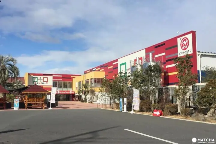 Ayo Cari Tahu Rahasia Konnyaku di “Konnyaku Park”!!!