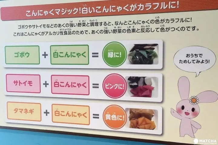 Ayo Cari Tahu Rahasia Konnyaku di “Konnyaku Park”!!!