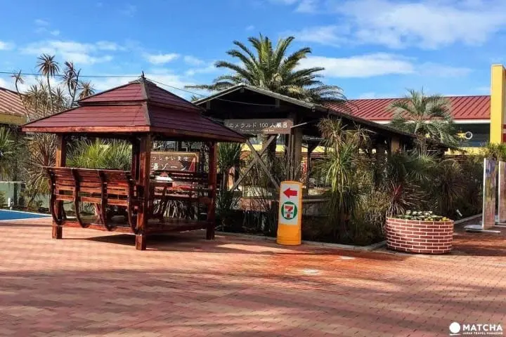 Ayo Cari Tahu Rahasia Konnyaku di “Konnyaku Park”!!!