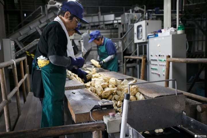 Prefektur Kagoshima: 8 Tempat yang Harus Dikunjungi di Ibusuki dan Nansatsu Area