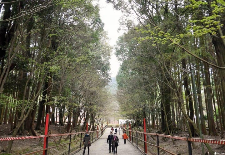 醍醐寺