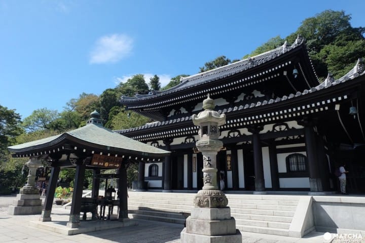 漫步镰仓名寺长谷寺,一览镰仓市内景色,雨季还可赏紫阳花!
