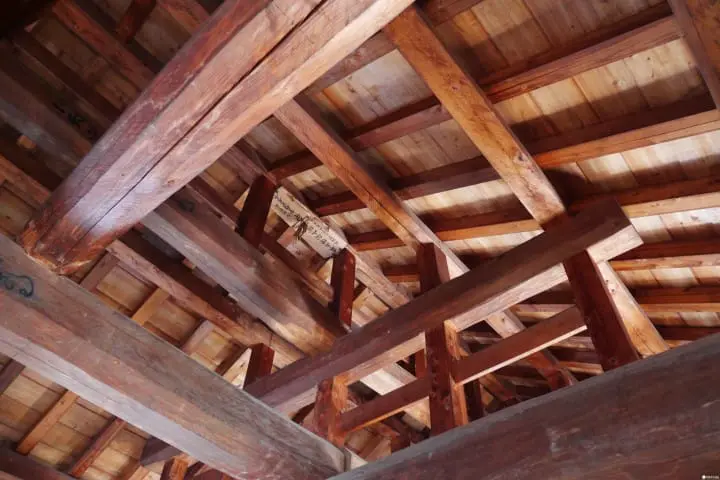 搭坊っちゃん列車遊松山！