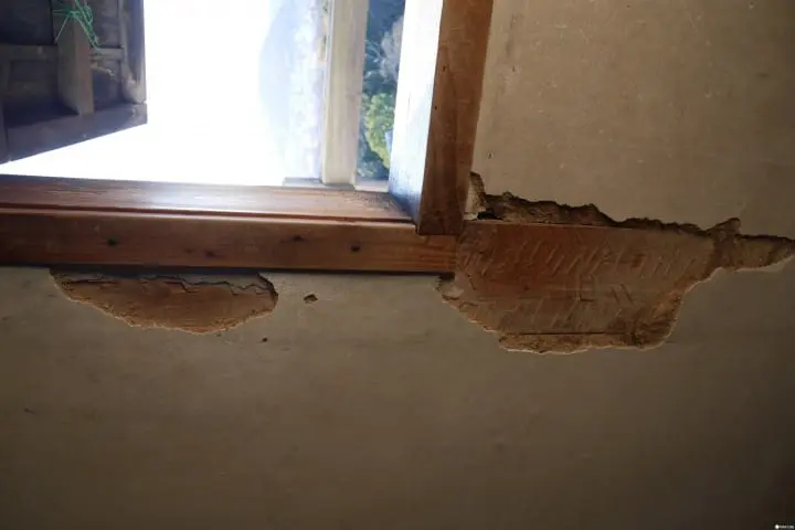 搭坊っちゃん列車遊松山！