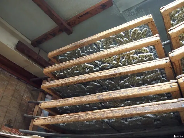 [Tokyo] Sugito Senbei Age-Kakemochi: Perfect Vegan Snacks!