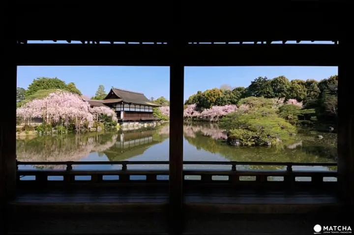 【京都】搭上粉红色的100号洛巴士，开启赏樱之旅吧！