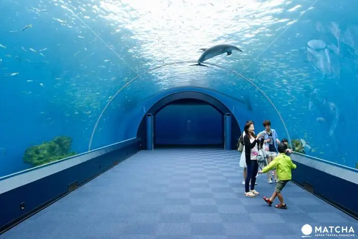 八景島, 橫濱水族館