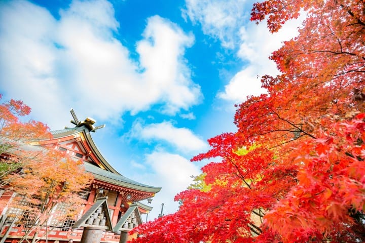 神奈川四季