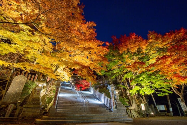 神奈川四季