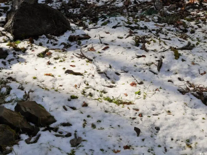 戰國時期鎮守關東門戶八王子城