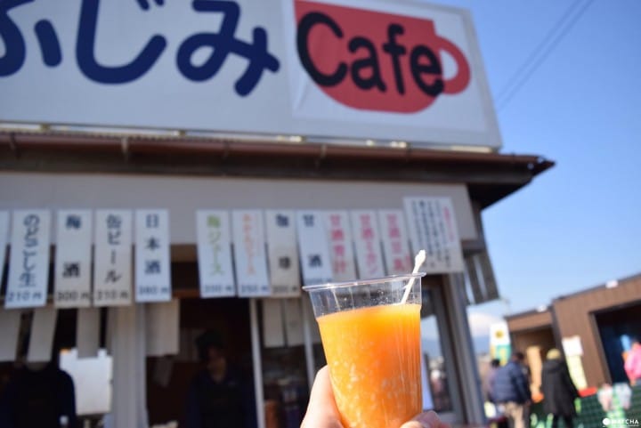 春になったら必ず訪れたい、小田原梅まつり