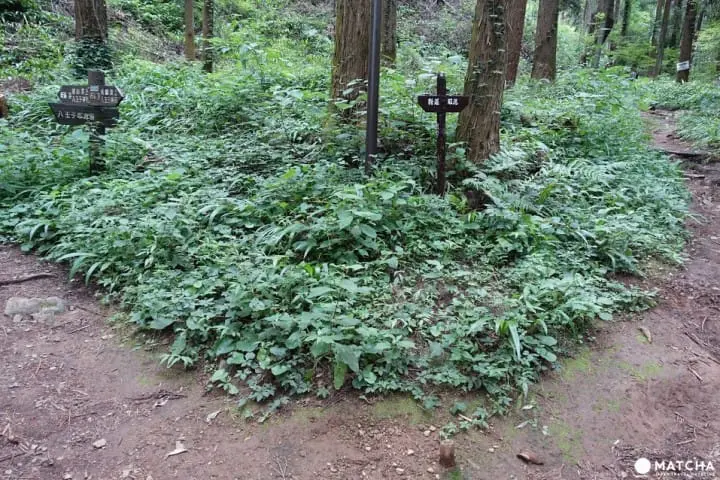 戰國時期鎮守關東門戶八王子城