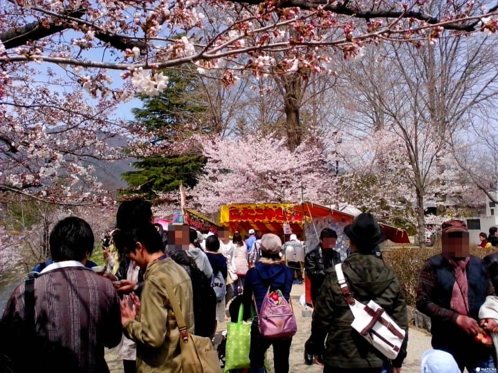 上田城跡公園千本櫻祭