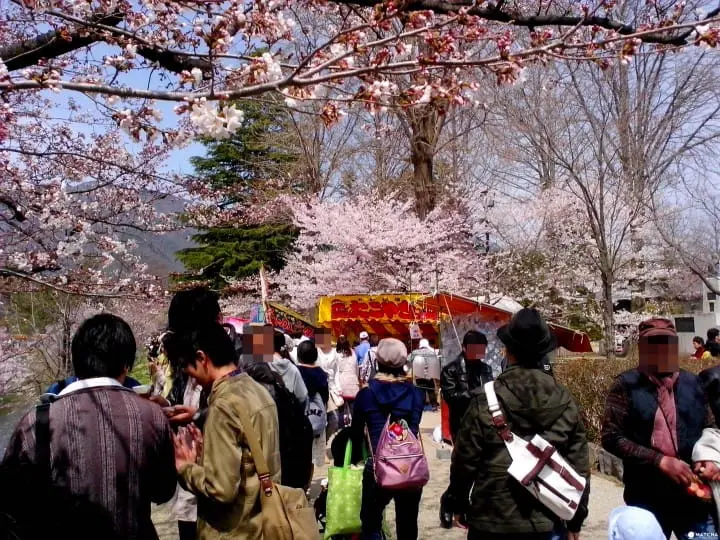 上田城跡公園千本櫻祭