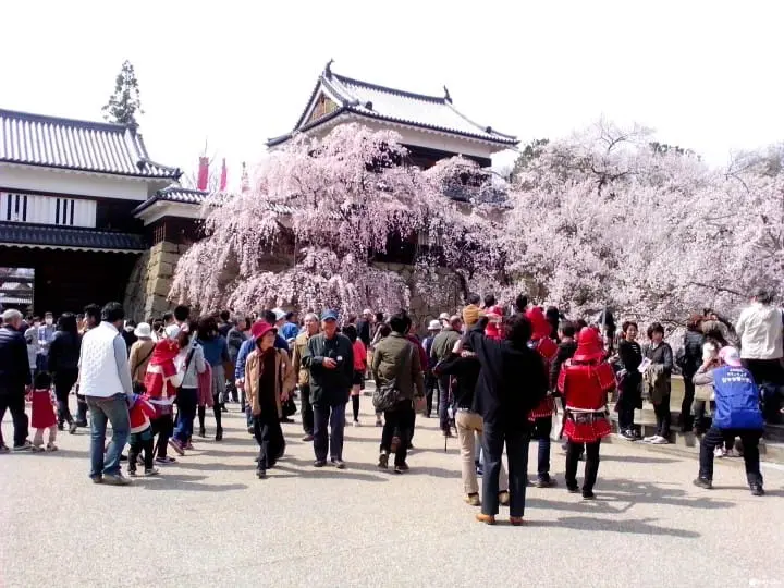 上田城跡公園千本櫻祭