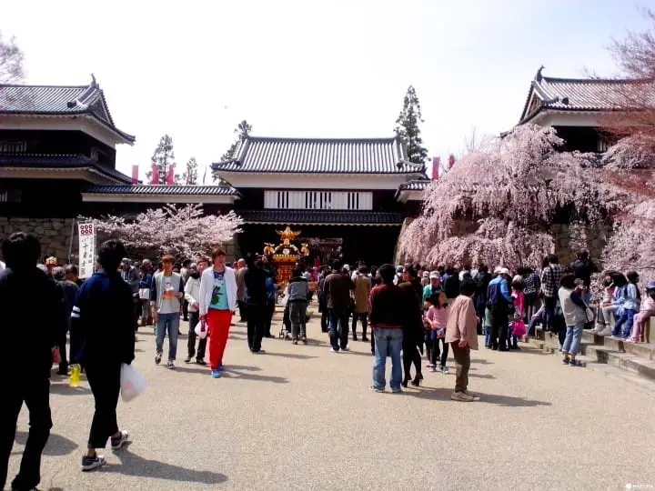 上田城跡公園千本櫻祭