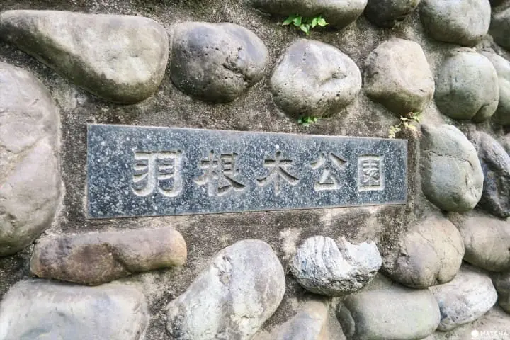 【下書き】東京都内随一の梅の名所「羽根木公園」で風情ある梅を堪能