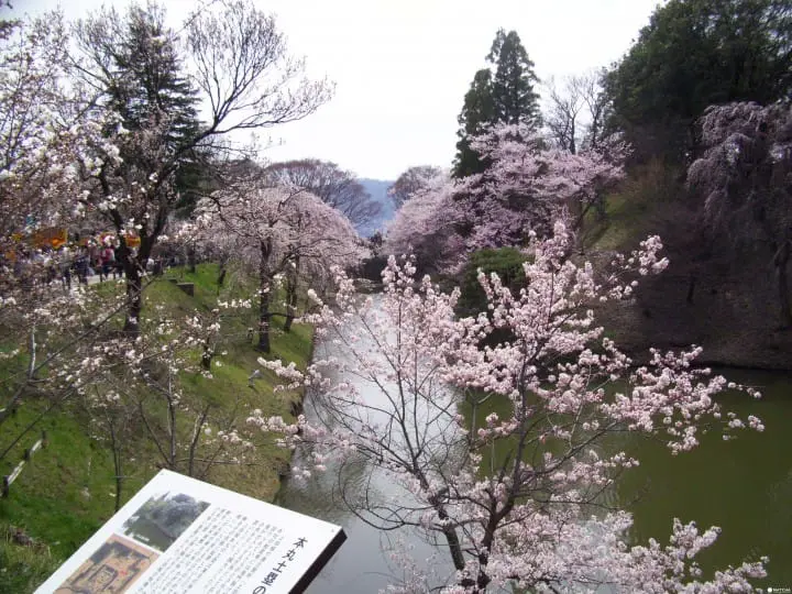 【長野上田城】遊千本櫻祭賞戰國武將名城