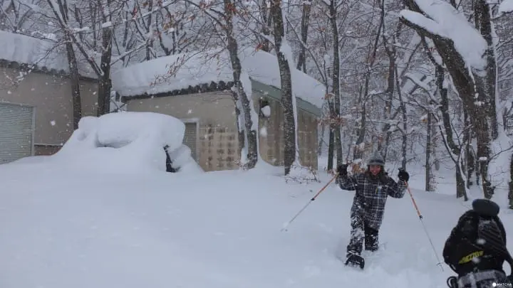 冬季在秋田，有 N 種和雪交往的方式：田澤湖、角館武家屋敷、乳頭溫泉鄉