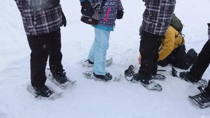 冬季在秋田，有 N 種和雪交往的方式：田澤湖、角館武家屋敷、乳頭溫泉鄉