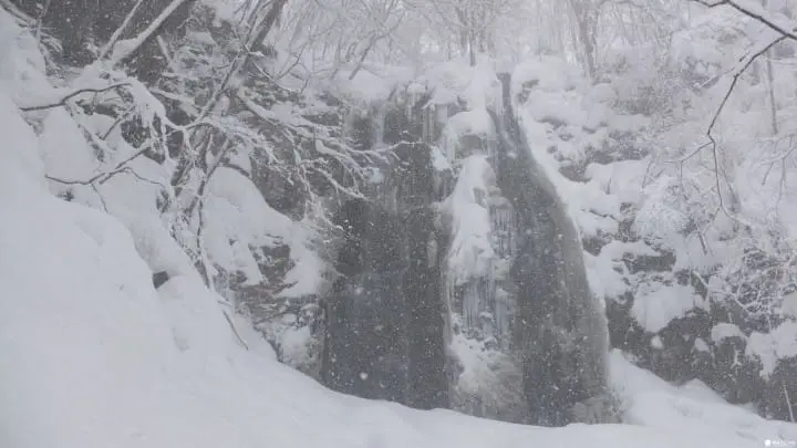 冬季在秋田，有 N 種和雪交往的方式：田澤湖、角館武家屋敷、乳頭溫泉鄉