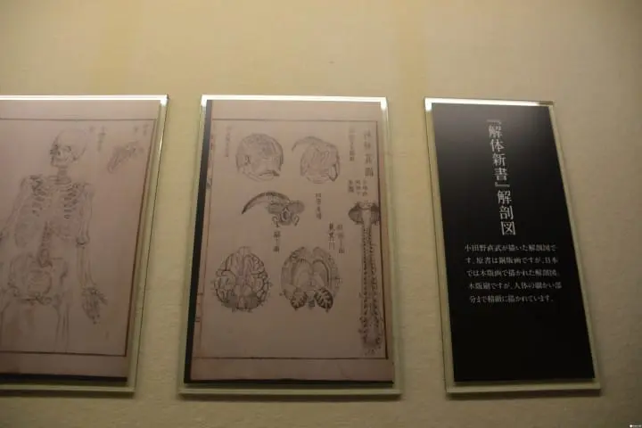 冬季在秋田，有 N 種和雪交往的方式：田澤湖、角館武家屋敷、乳頭溫泉鄉