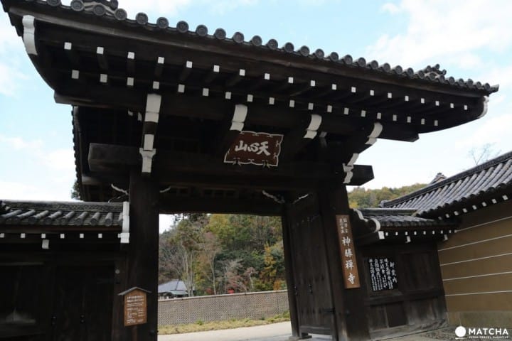 獨一無二的新世代跨界藝術,禪與庭的美術館:神勝寺
