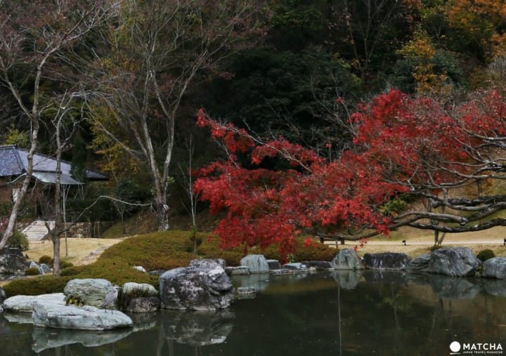 獨一無二的新世代跨界藝術,禪與庭的美術館:神勝寺
